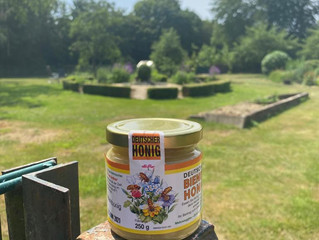 Honig der Fazenda Kloster Mörmter