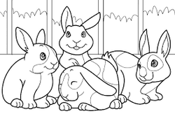 Los amigos conejitos