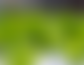 Vision system for Swedish University of Agricultural Sciences​