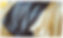 handles.jpg