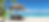 vacation bg.png