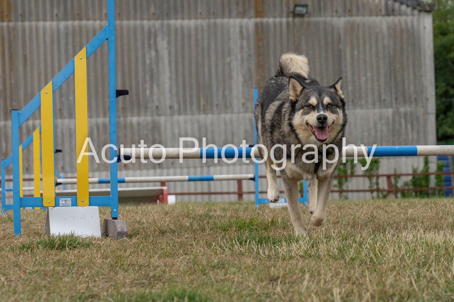 Agility July 23 140