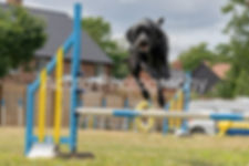 Agility July 23 175