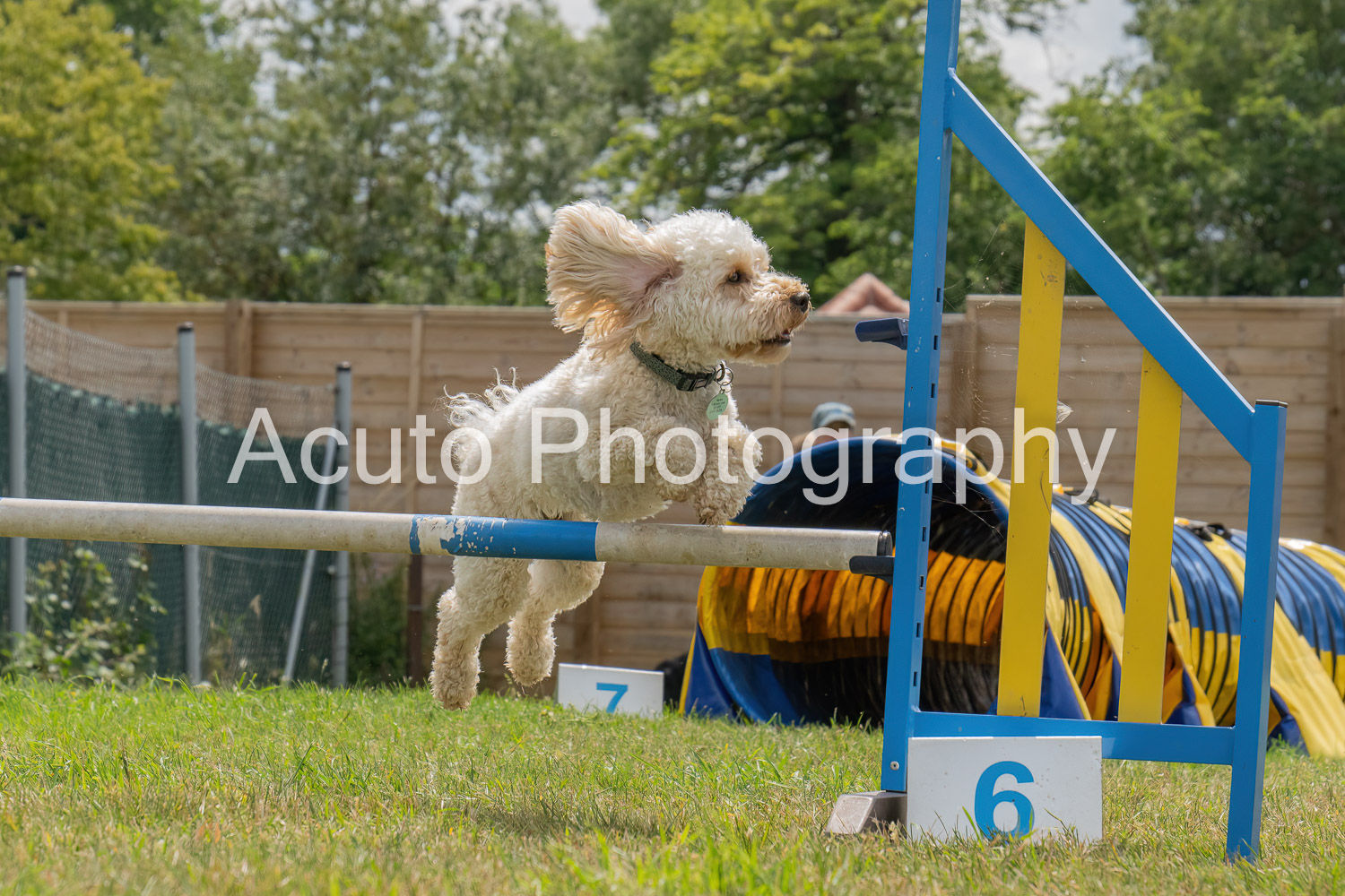 Agility July 23 180