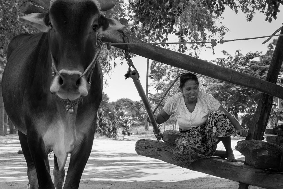 Traditional rural scene myanmar