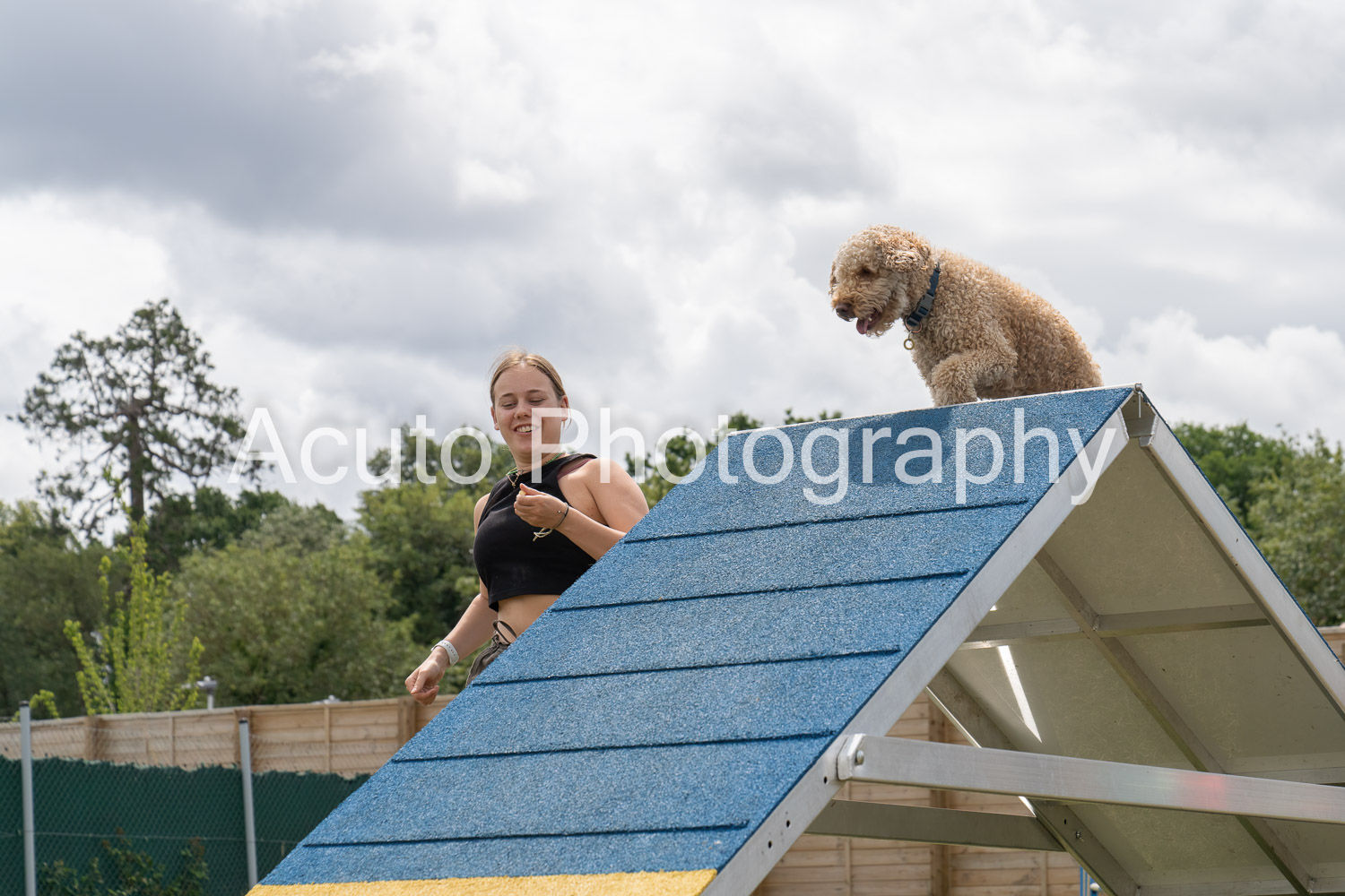 Agility July 23 066