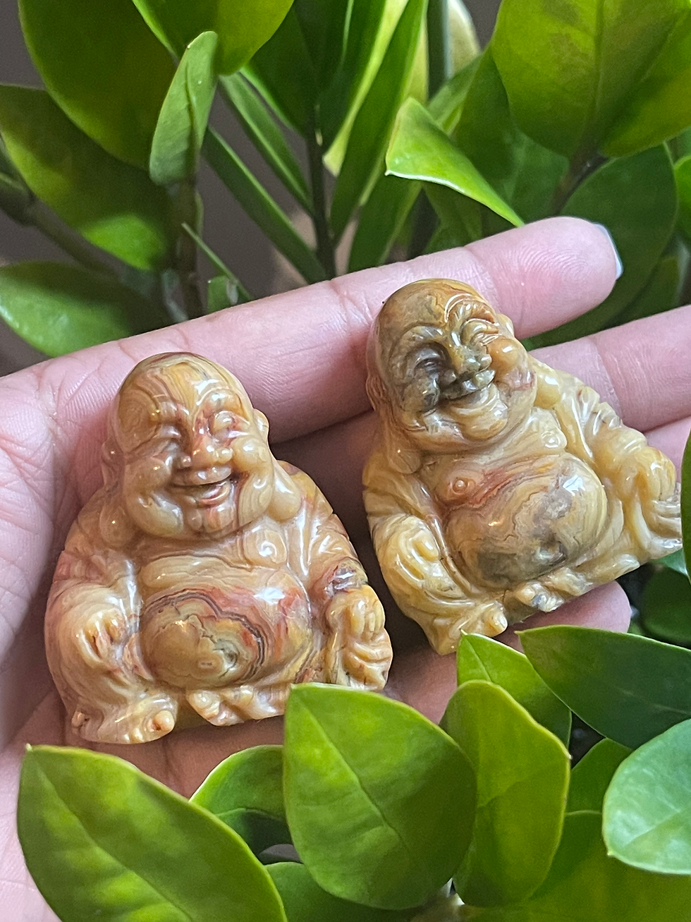 Thumbnail: Crazy Lace Agate Laughing Buddha