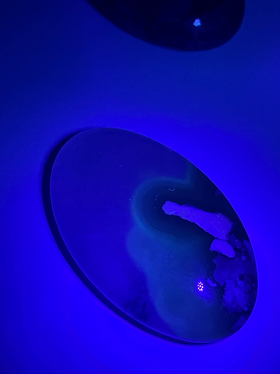 Thumbnail: Volcano Agate Palmstone (UV reactive)