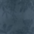 LMZS_mercenary_fond-bleu-fleurs.jpg