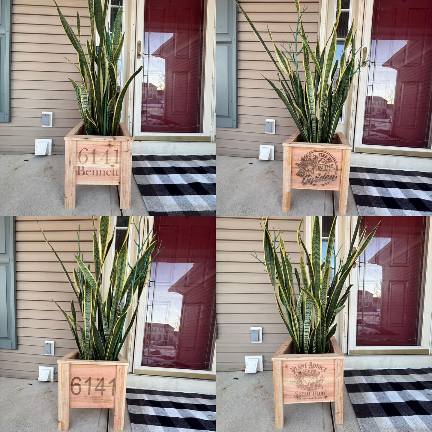 480782566_582326911471566_7362770795415043777_n