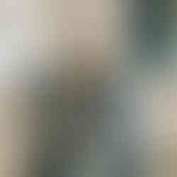 Rohde Ecotop 60S (Steuerung ST411)