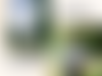 ゆいさんのダイバーシティ・ナラティブ