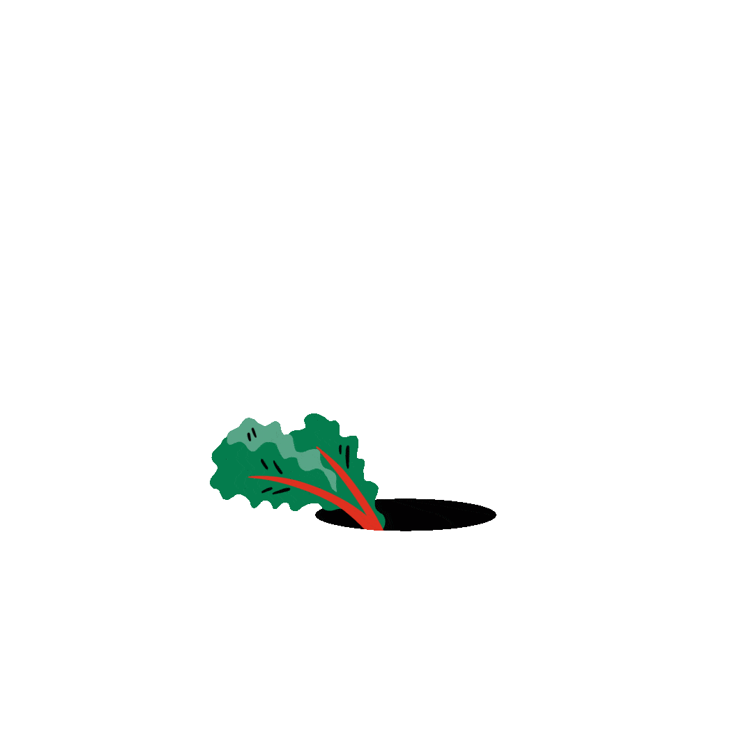 Giggleland Tavşan.gif