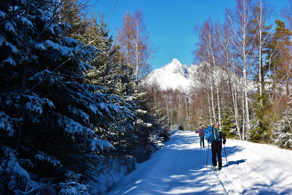 Tailor Made Private Tour Slovakia