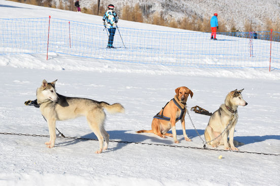 Experience Slovakia, High Tatras, Winter