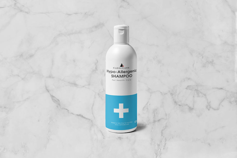 Shampoo