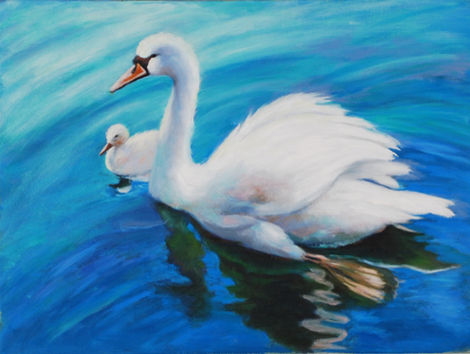 Elegant swan and cygnet swimming on blue water