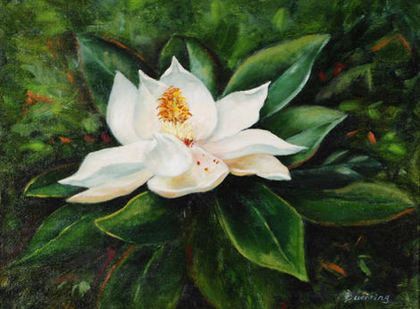 Painting of a white magnolia blossom