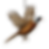 C6CCDAFE-EAB1-4DD3-85C3-95D6FC85777E_edited.png