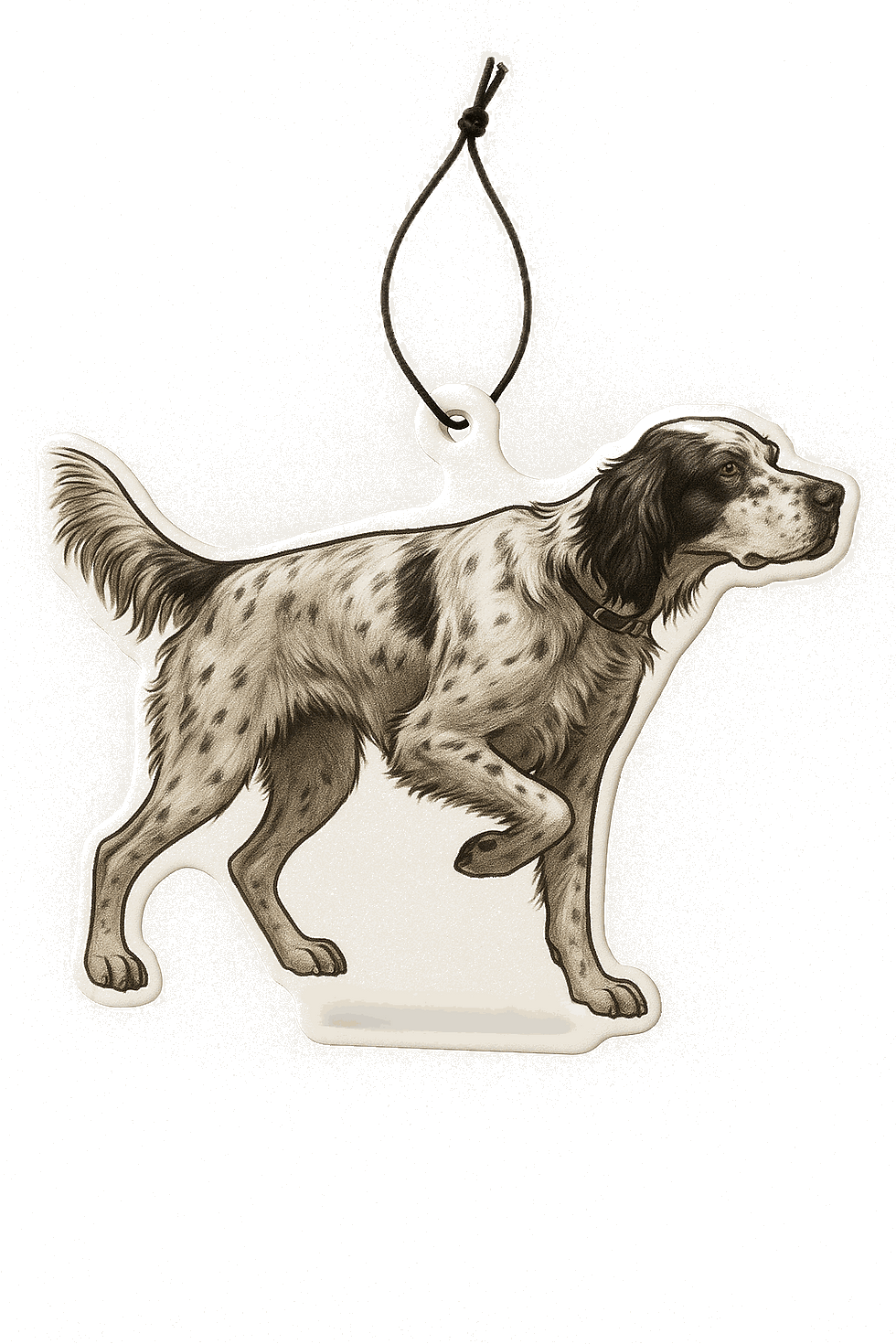 english_setter_spin.gif