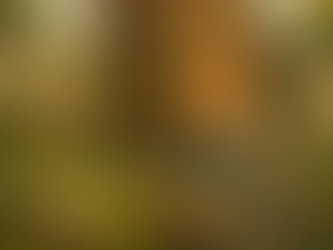 What Professional Real Estate Investors Know That First-Time Investors Don’t