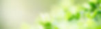 AdobeStock_419696490.jpeg