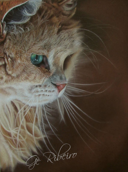 Gato