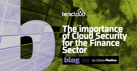 The Importance of Cloud Security for the Finance Sector
