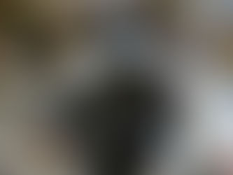 What Cats Actually Do All Day at Boarding (And Why Calm Matters)