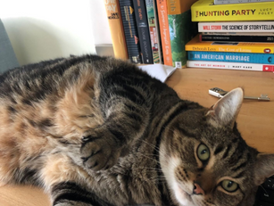 Snatching the punchlines - Jen Fraser nails it    