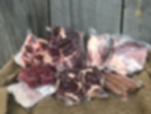 image1.jpeg