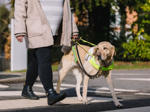 Bus Stop Design for Disabled People