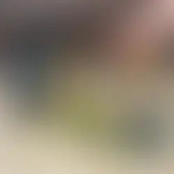 Easy Rice and Beans Recipe