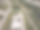 DJI_0042_edited.png