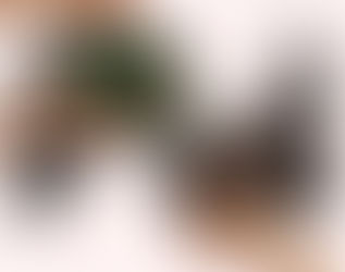 COVET BOARD: Alexander McQueen Box Bag