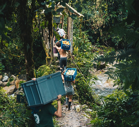 Volontaires transportant de la nourriture pour les animaux en forêt en Amazonie équatorienne