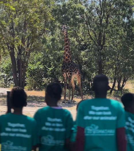 Enfants observant une girafe lors d’une activité éducative en Afrique du Sud