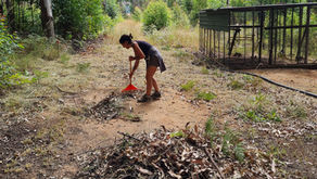 Soigneuse animalière nettoyant un enclos dans un centre de réhabilitation de faune sauvage