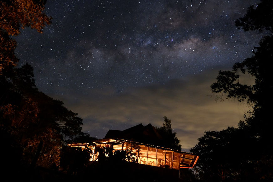 Ciel étoilé au-dessus de l’Amazonie équatorienne.