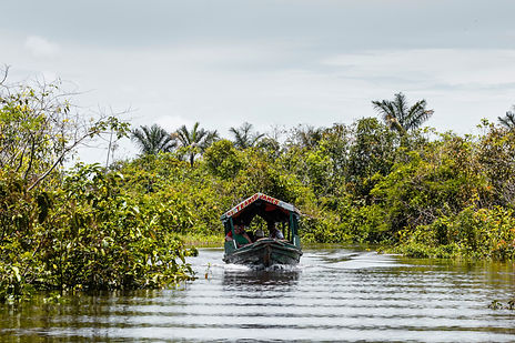 Navigation sur l'Amazone lors d'un stage de conservation de la faune sauvage en Amazonie péruvienne.