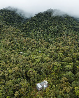 Vue aérienne de l’Amazonie équatorienne.