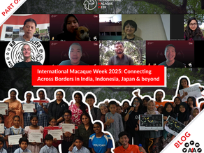 International Macaque Week 2025: Connecting Across Borders in India, Indonesia, Japan and beyond (Part 1)