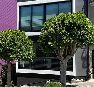 C8272063-D40F-4C83-A293-647486652B3A (1).jpeg