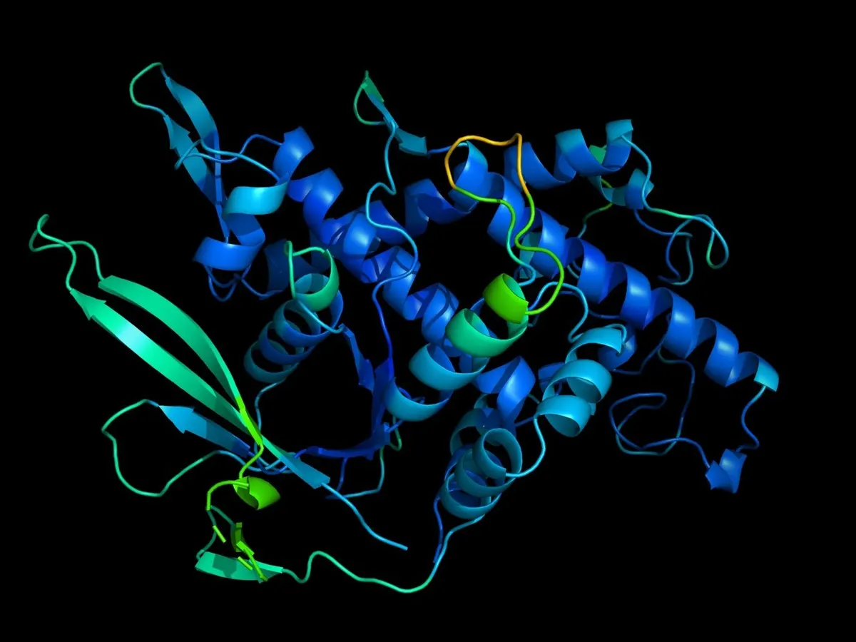 protein structure prediction