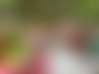 Farmers Market Season