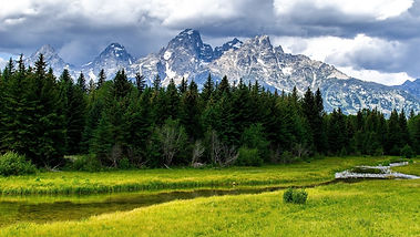 nature2.jpg