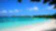 beach background.jpg