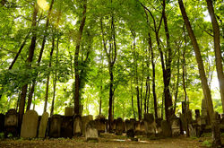 Warsaw Jewish Cemetary, Poland