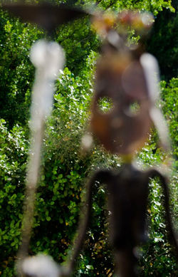 Week 23- Out of Focus