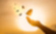The girl frees the butterfly from moment Concept of freedom.jpg